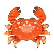 Red Egg Crab
