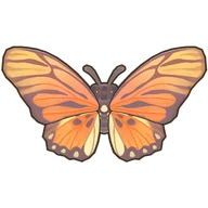 Red False Acraea