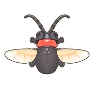Red-Necked Longhorn Beetle
