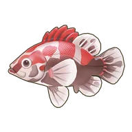 Red-Striped Perch