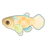 Rice Fish