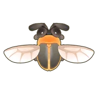 Rimmed Window Firefly
