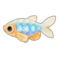 Rose Danio