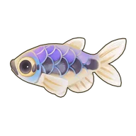 Royal Tetra