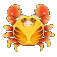 Sally Lightfoot Crab