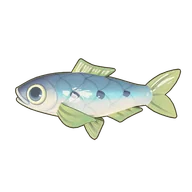 Sardine