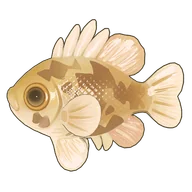 Shadow Bass