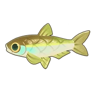 Sharpbelly