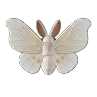 Silk Moth