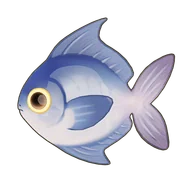 Silver Pomfret