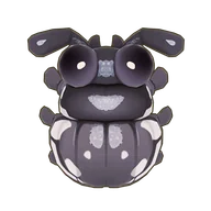 Six-Spot Ground Beetle