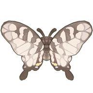 Sixbar Swordtail