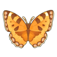 Small Tortoiseshell
