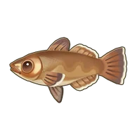 Smallscale Toothfish