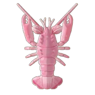 Spiny Blind Lobster
