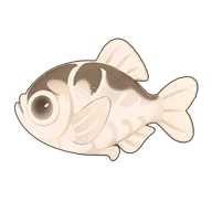 Spiny Hatchetfish