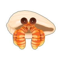Striped Hermit Crab