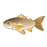 Sweetfish