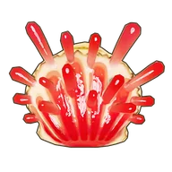 Thorny Oyster