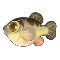 Tiger Puffer