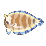 Unicorn Sole