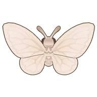 Veil Hook Moth
