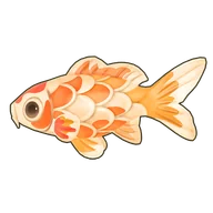 Yellow Dappled Koi