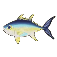 Yellowfin Tuna