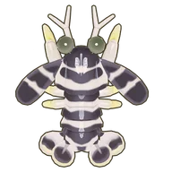 Zebra Mantis Shrimp
