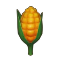 Corn