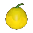 Melon