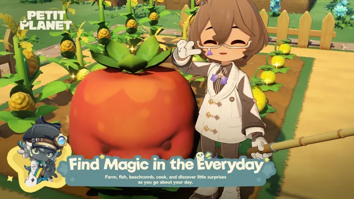 Find Magic in the Everyday